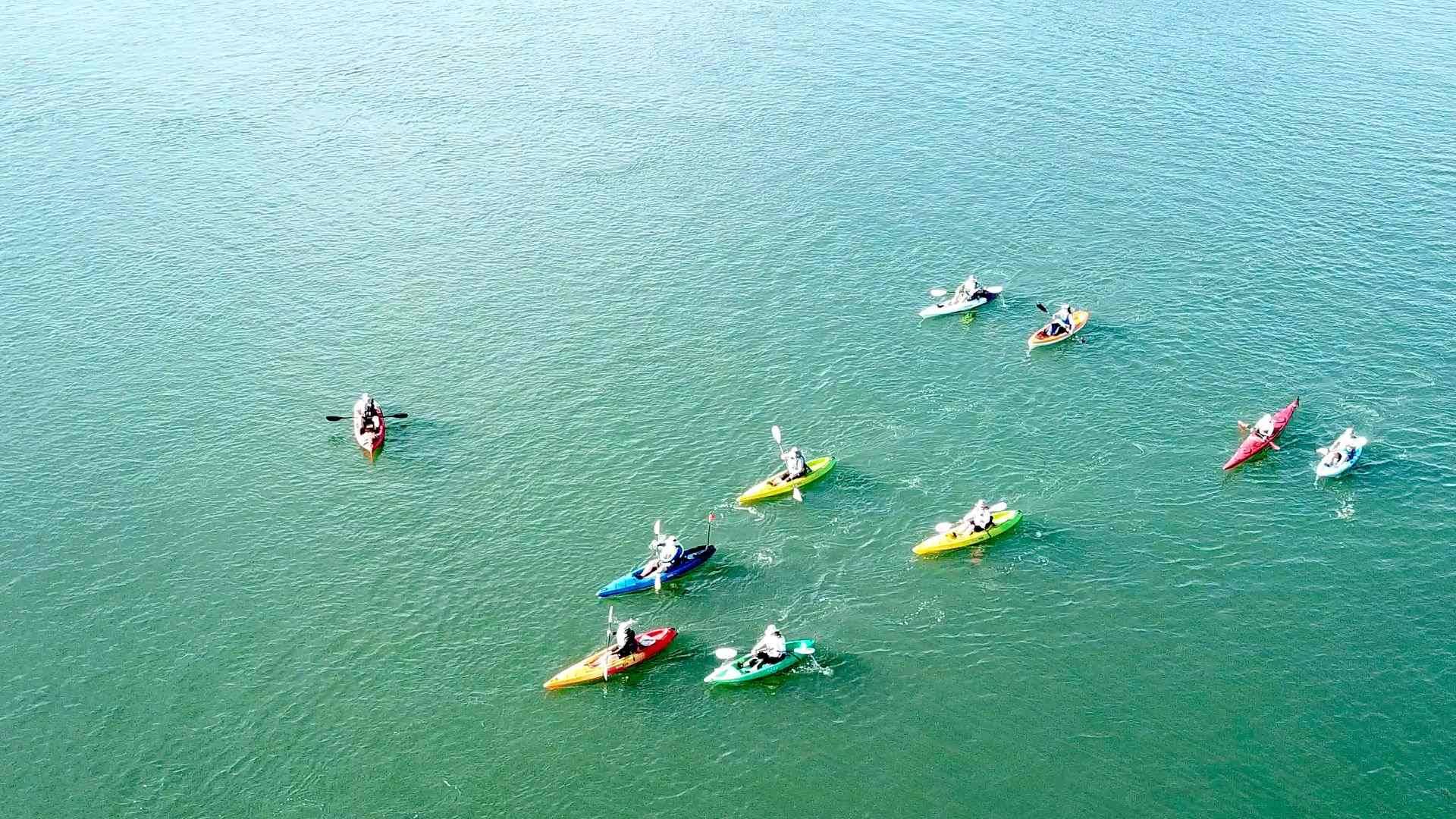 Join our Kayaking Group and explore the Central Coast, Lake Macquarie and the Hawkesbury River with a Social Paddle